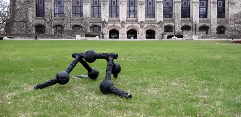 Evolved Robots Are Born to Run and Refuse to Die