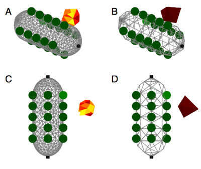 The image above provides an example forward model (A, C) and reconstruction (B, D) for a spherical object of conductivity higher than the surrounding fluid.