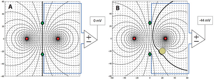 The image above provides an example of how this sensory mechanism works