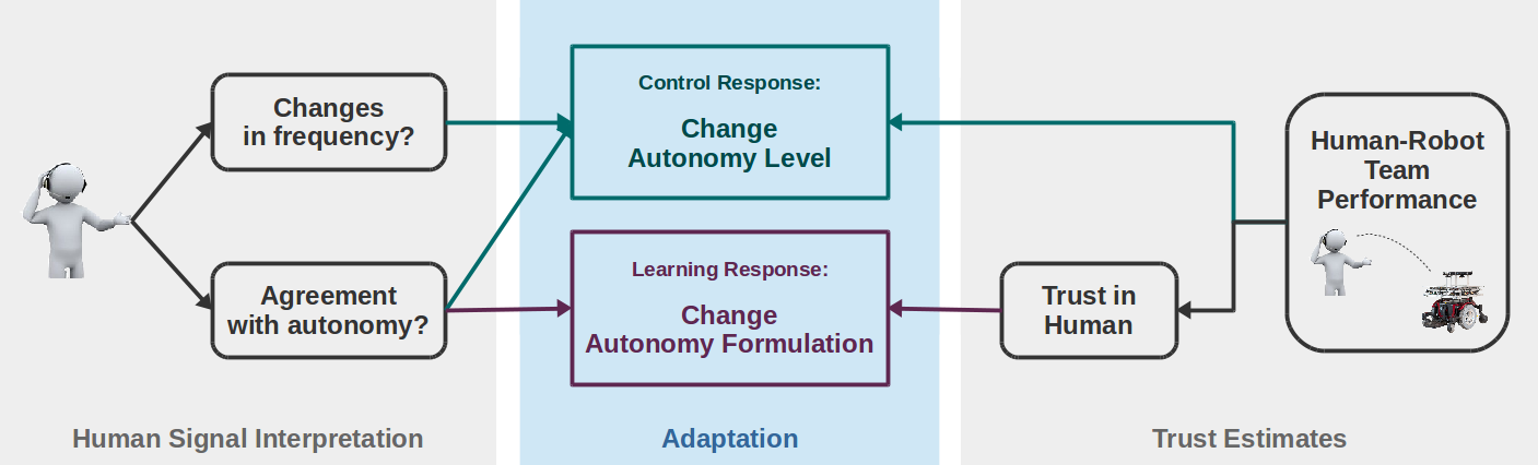 dynamic allocation of autonomy