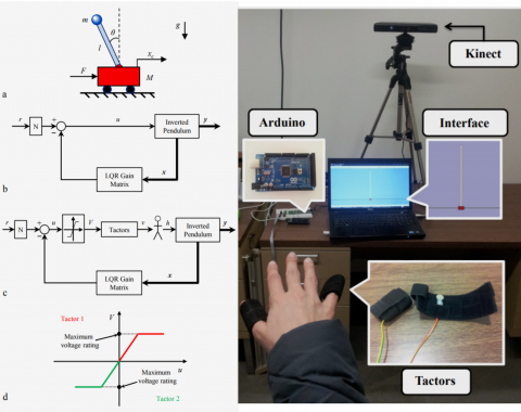 Optimal tactile feedback